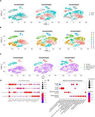 Machine learning-based integration develops a neutrophil-derived signature for improving outcomes in hepatocellular carcinoma